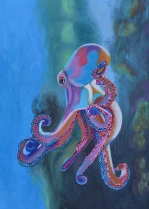 Octopus / oil on canvas / 50 x 70 cm / 2017